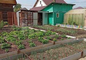 Дом 55м², 2-этажный, участок 8 сот.  