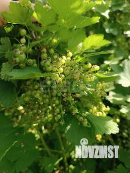 Дом 59м&sup2;, 2-этажный, участок 5 сот.  