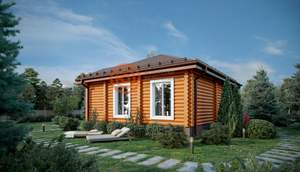 Дом 64м&sup2;, 1-этажный, участок 1 сот.  