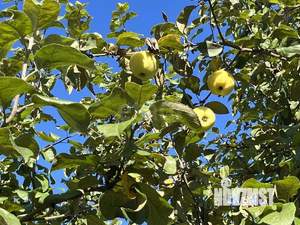 Дом 64м&sup2;, 2-этажный, участок 5 сот.  