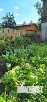 Дом 20м², 1-этажный, участок 4 сот.  