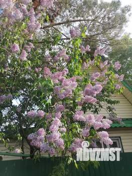 Дом 25м&sup2;, 1-этажный, участок 9 сот.  