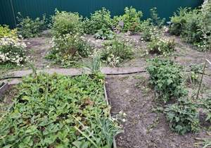 Дом 49м², 2-этажный, участок 5 сот.  