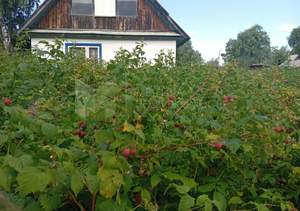 Дом 25м&sup2;, 1-этажный, участок 4 сот.  