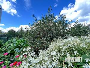 Дом 100м&sup2;, 2-этажный, участок 5 сот.  