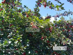 Дом 34м&sup2;, 2-этажный, участок 5 сот.  