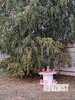 Дом 60м², 2-этажный, участок 9 сот.  