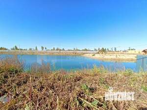 Коттедж 42м&sup2;, 1-этажный, участок 5 сот.  