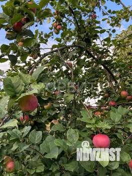 Дом 39м&sup2;, 2-этажный, участок 4 сот.  