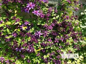 Дом 28м&sup2;, 1-этажный, участок 8 сот.  