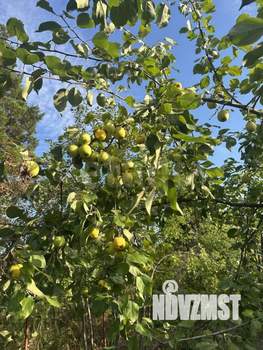 Дом 40м², 2-этажный, участок 6 сот.  