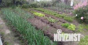 Дом 39м&sup2;, 1-этажный, участок 5 сот.  