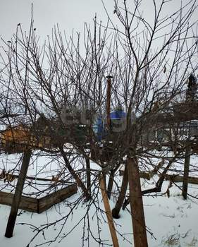 Дом 45м², 2-этажный, участок 5 сот.  