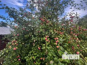 Дом 30м², 1-этажный, участок 5 сот.  