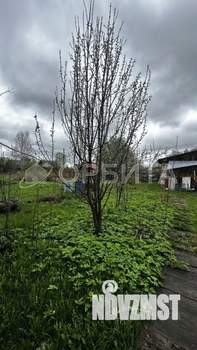 Дом 42м&sup2;, 2-этажный, участок 11 сот.  