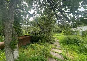 Дом 51м&sup2;, 1-этажный, участок 13 сот.  