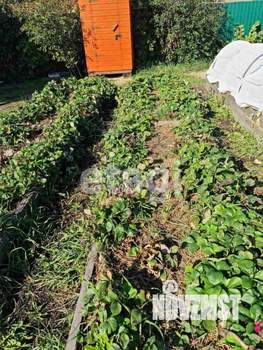 Дом 36м², 1-этажный, участок 6 сот.  