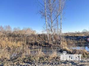 Дом 105м², 1-этажный, участок 8 сот.  