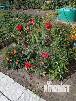 Дом 50м&sup2;, 2-этажный, участок 4 сот.  