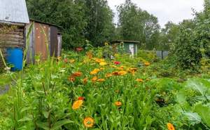 Дом 18м&sup2;, 1-этажный, участок 0 сот.  