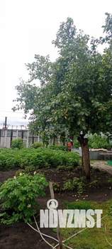 Дом 251м², 1-этажный, участок 10 сот.  