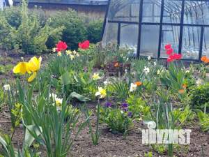 Дом 33м², 2-этажный, участок 8 сот.  