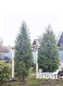 Дом 44м&sup2;, 2-этажный, участок 11 сот.  