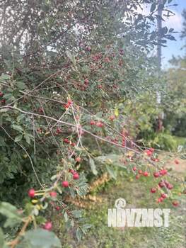 Дом 30м&sup2;, 2-этажный, участок 5 сот.  