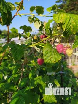 Дом 38м², 1-этажный, участок 5 сот.  