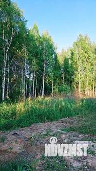 Дом 45м², 1-этажный, участок 8 сот.  