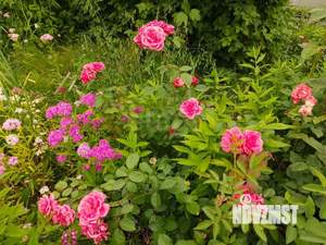 Дом 28м&sup2;, 1-этажный, участок 8 сот.  