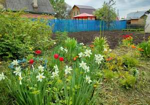 Дом 18м&sup2;, 1-этажный, участок 4 сот.  