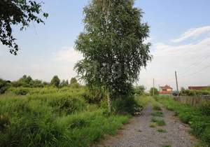 Дом 21м&sup2;, 2-этажный, участок 9 сот.  