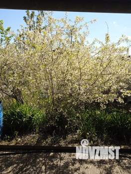 Дом 55м², 1-этажный, участок 5 сот.  