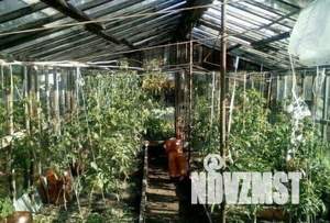 Дача 40м², 2-этажный, участок 5 сот.  