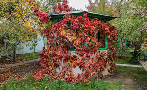 Дом 100м&sup2;, 2-этажный, участок 16 сот.  