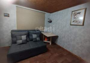 Дом 23м&sup2;, 1-этажный, участок 3 сот.  