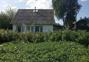 Дом 25м&sup2;, 1-этажный, участок 4 сот.  
