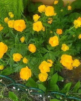 Дом 40м², 2-этажный, участок 0 сот.  