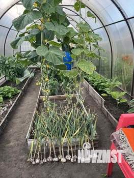 Дом 48м&sup2;, 1-этажный, участок 11 сот.  