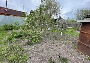 Дом 48м&sup2;, 1-этажный, участок 6 сот.  