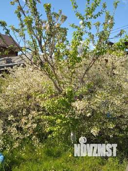 Дом 55м&sup2;, 1-этажный, участок 5 сот.  