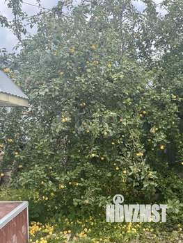 Дом 125м², 1-этажный, участок 5 сот.  