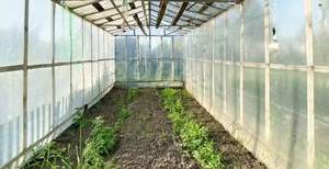 Дом 20м&sup2;, 1-этажный, участок 5 сот.  