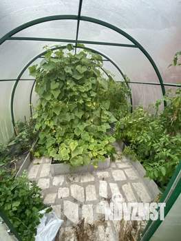 Дом 110м², 2-этажный, участок 7 сот.  