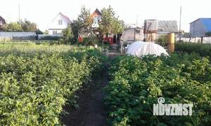 Дом 39м&sup2;, 2-этажный, участок 12 сот.  