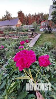 Дом 54м&sup2;, 2-этажный, участок 10 сот.  