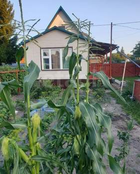 Дом 30м&sup2;, 2-этажный, участок 6 сот.  