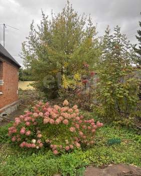 Дом 87м², 1-этажный, участок 16 сот.  