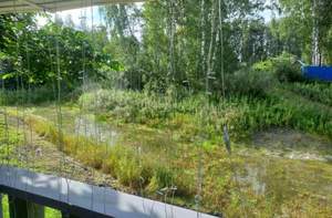 Дом 36м&sup2;, 1-этажный, участок 10 сот.  